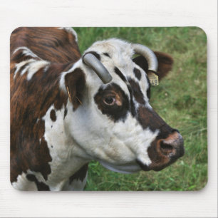 Normandy cow mousepad