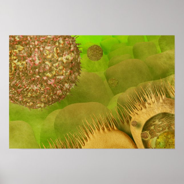 Noroviruses in the gastrointestinal tract poster (Front)