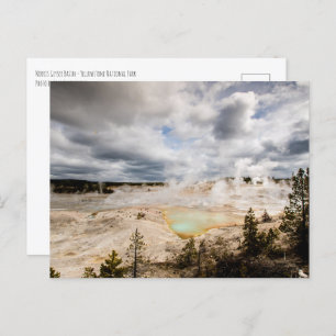 Norris Geyser Basin Yellowstone  Postcard