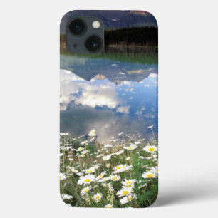 North America, Canada, Alberta, Banff National 2 iPhone 13 Case