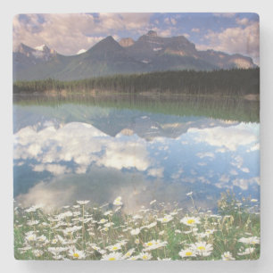 North America, Canada, Alberta, Banff National 2 Stone Coaster