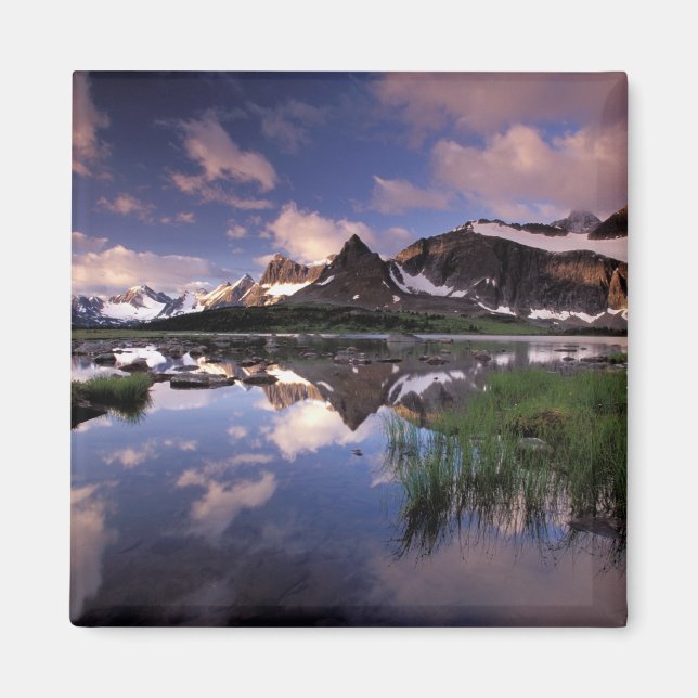 North America, Canada, Alberta, Jasper 4 Magnet (Front)