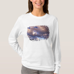 North America, Canada, Alberta, Jasper 5 T-Shirt