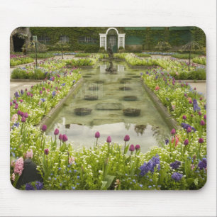 North America, Canada, British Columbia, 4 Mouse Mat