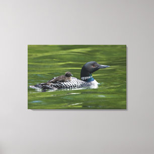North America, Canada, British Columbia, Lac Le Canvas Print