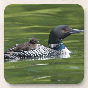 North America, Canada, British Columbia, Lac Le Coaster