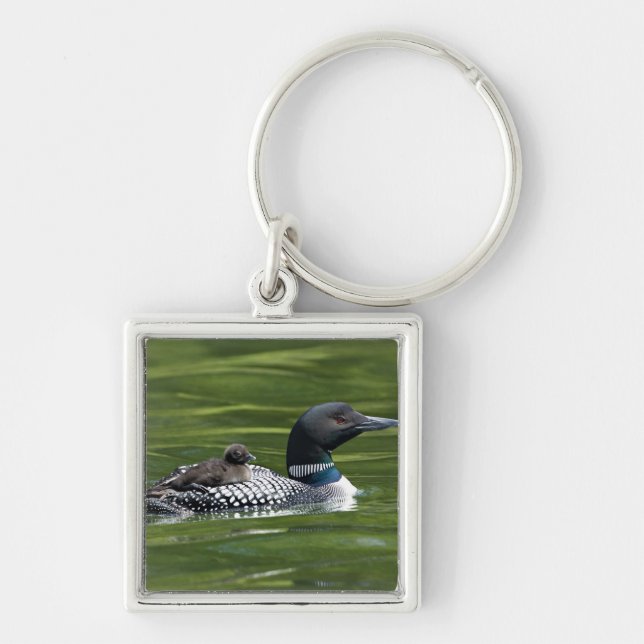 North America, Canada, British Columbia, Lac Le Key Ring (Front)