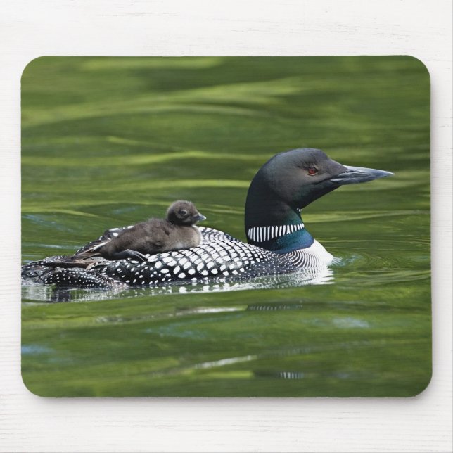 North America, Canada, British Columbia, Lac Le Mouse Mat (Front)