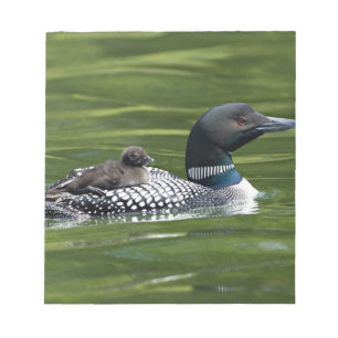 North America, Canada, British Columbia, Lac Le Notepad