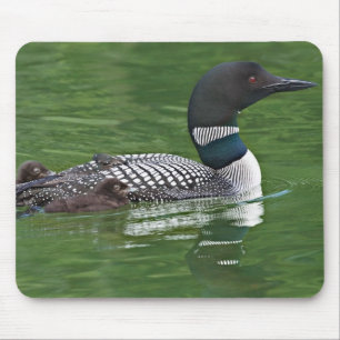North America, Canada, British Columbia Mouse Mat