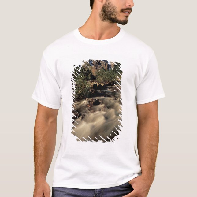 North America, Canada, Canadian Rockies, Banff T-Shirt (Front)