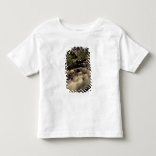North America, Canada, Canadian Rockies, Banff Toddler T-Shirt