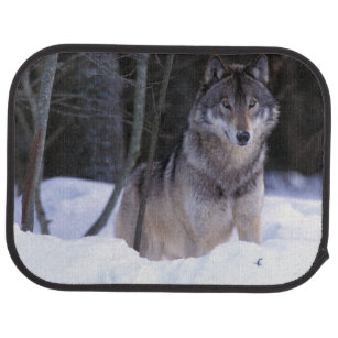 Wolf Car Floor Mats Zazzle Co Uk