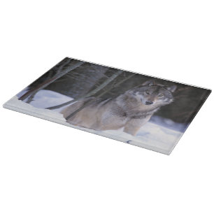North America, Canada, Eastern Canada, Grey wolf Cutting Board