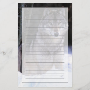 North America, Canada, Eastern Canada, Grey wolf Stationery