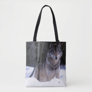 North America, Canada, Eastern Canada, Grey wolf Tote Bag