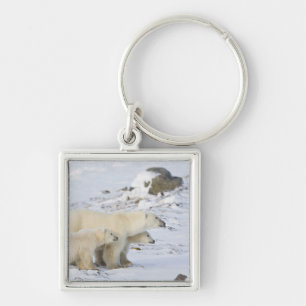 North America, Canada, Manitoba, Churchill. 4 Key Ring