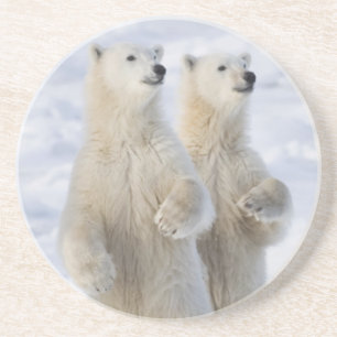 North America, Canada, Manitoba, Churchill. 5 Coaster