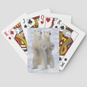 North America, Canada, Manitoba, Churchill. 5 Playing Cards