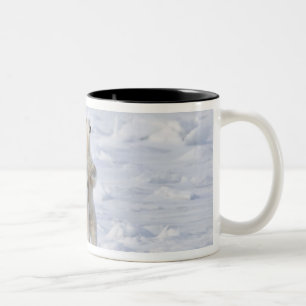 North America, Canada, Manitoba, Churchill. 5 Two-Tone Coffee Mug