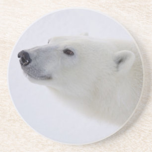 North America, Canada, Manitoba, Churchill. 6 Coaster