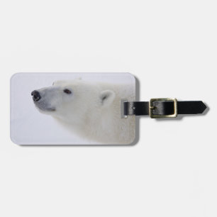 North America, Canada, Manitoba, Churchill. 6 Luggage Tag