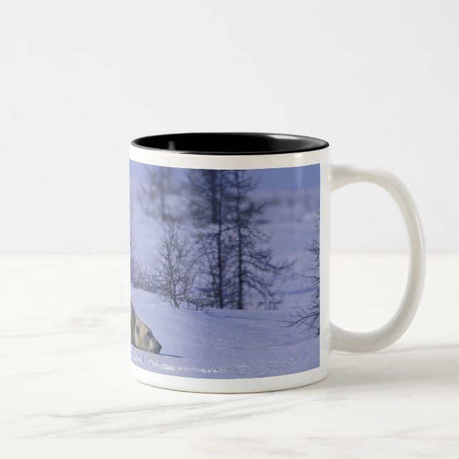 North America, Canada, Manitoba, Churchill Two-Tone Coffee Mug (Right)