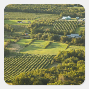 North America, Canada, Nova Scotia, Annapolis Square Sticker