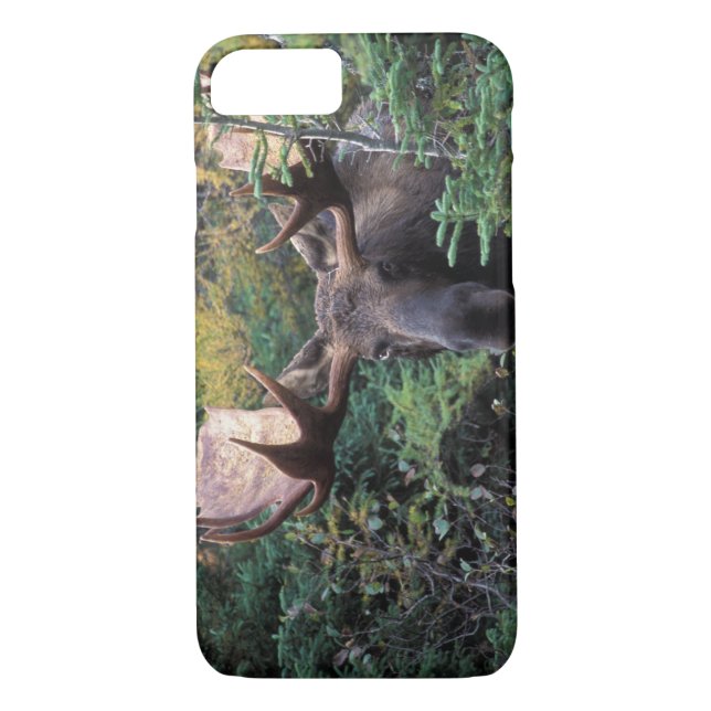 North America, Canada, Nova Scotia, Cape Breton Case-Mate iPhone Case (Back)