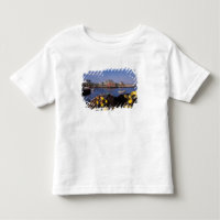 North America, Canada, Nova Scotia, Peggy's