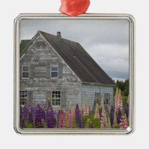 North America, Canada, Prince Edward Island, Metal Tree Decoration