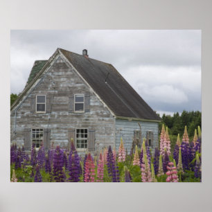 North America, Canada, Prince Edward Island, Poster