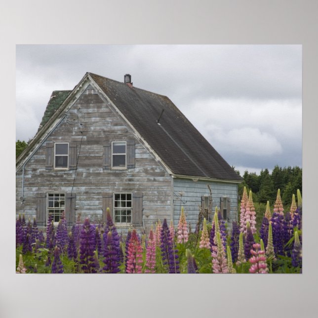 North America, Canada, Prince Edward Island, Poster (Front)