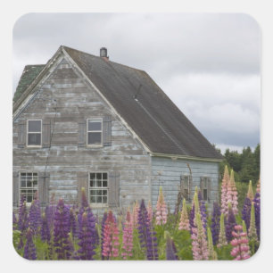 North America, Canada, Prince Edward Island, Square Sticker