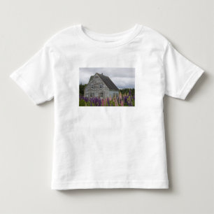 North America, Canada, Prince Edward Island, Toddler T-Shirt