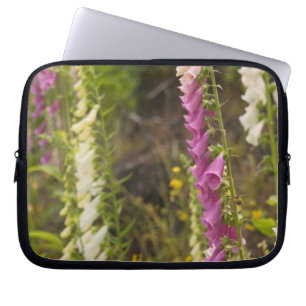 North America, Canada, Queen Charlotte Islands, 2 Laptop Sleeve