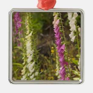 North America, Canada, Queen Charlotte Islands, 2 Metal Tree Decoration