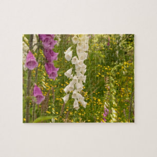 North America, Canada, Queen Charlotte Islands, 5 Jigsaw Puzzle