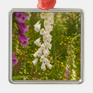 North America, Canada, Queen Charlotte Islands, 5 Metal Tree Decoration