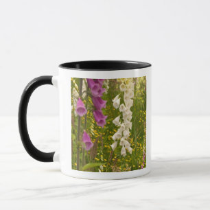North America, Canada, Queen Charlotte Islands, 5 Mug
