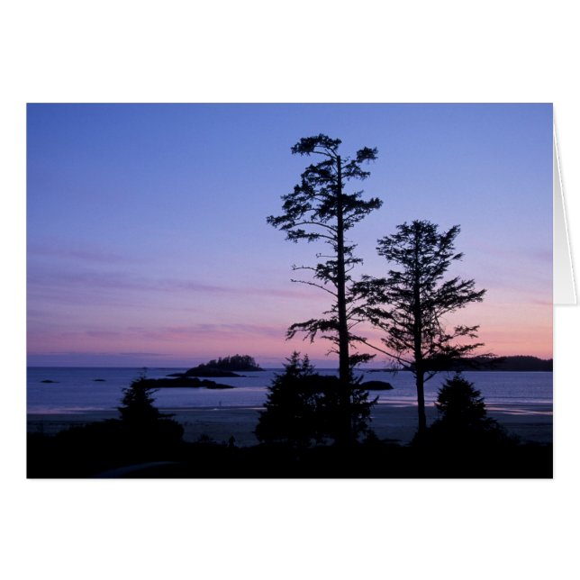 North America, Canada, Vancouver Island, trees (Front Horizontal)