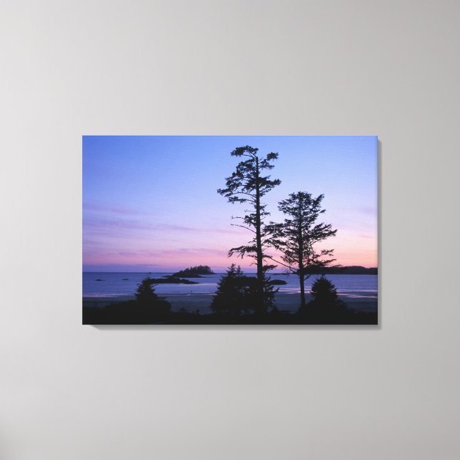 North America, Canada, Vancouver Island, trees Canvas Print (Front)