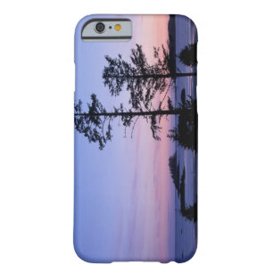 North America, Canada, Vancouver Island, trees Barely There iPhone 6 Case