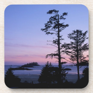 North America, Canada, Vancouver Island, trees Coaster