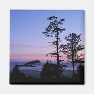 North America, Canada, Vancouver Island, trees Magnet