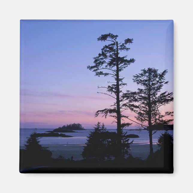 North America, Canada, Vancouver Island, trees Magnet (Front)