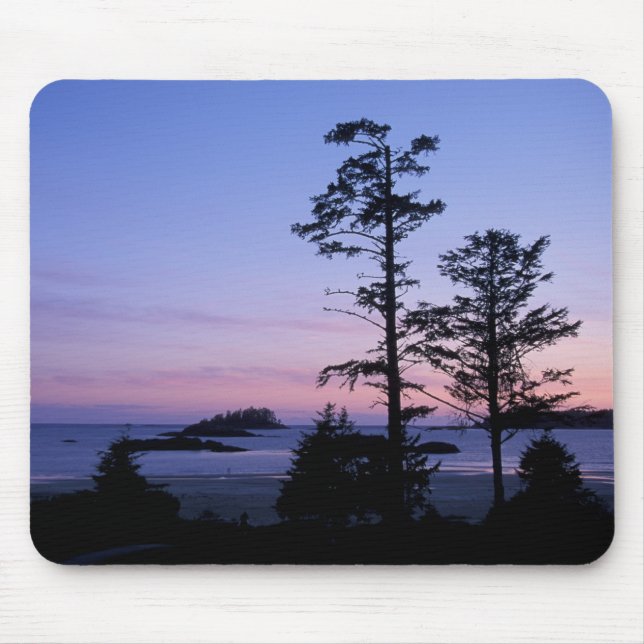 North America, Canada, Vancouver Island, trees Mouse Mat (Front)