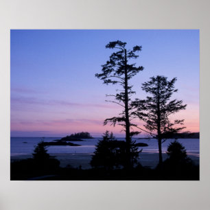 North America, Canada, Vancouver Island, trees Poster