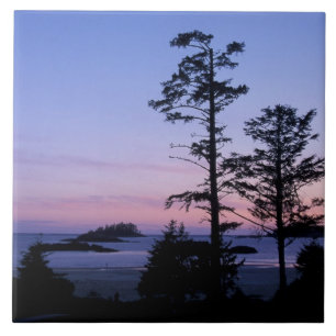 North America, Canada, Vancouver Island, trees Tile