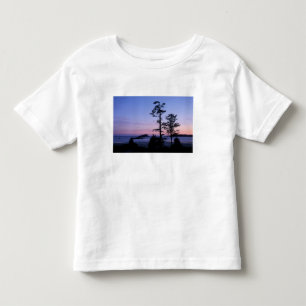 North America, Canada, Vancouver Island, trees Toddler T-Shirt